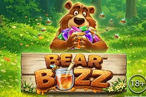 Bear Buzz - LETSEBET77