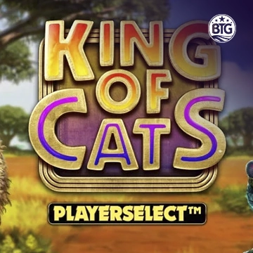 King of Cats - LETSEBET77