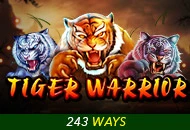 Tiger Warrior - LETSEBET77