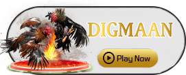 Digman - LETSEBET77